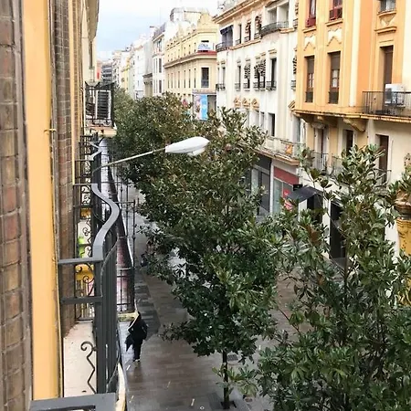 Entre Magnolios *